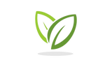 100% Ayurvedic