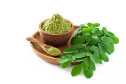 Moringa Extract