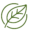 Moringa Extract
