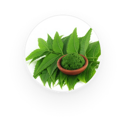 Neem