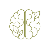 Brain Development