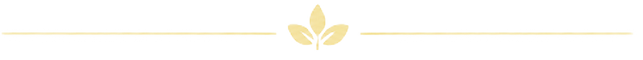 Divider image