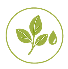 Botanical Precision