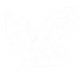 Leaf icon